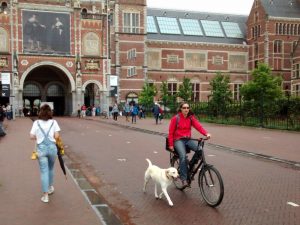 Near the Reijksmuseum "tunnel"